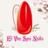 logo el vee spa nails
